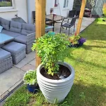 Проживание в семье Comfortable Single In