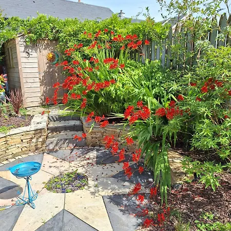 Comfortable Single In Listowel