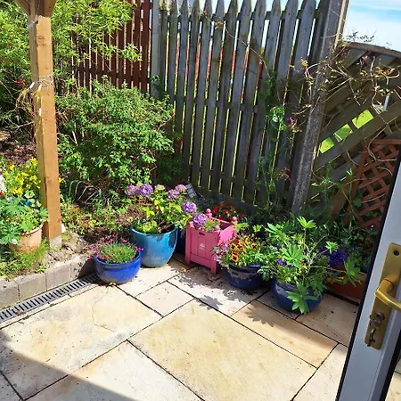 Comfortable Single In منزل للإقامة ليستول