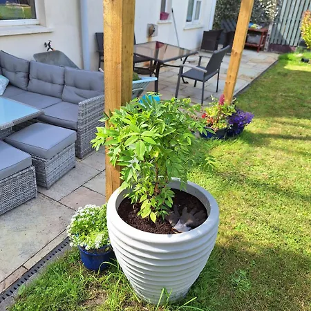 בית אירוח Comfortable Single In