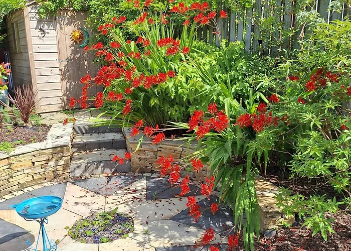 Comfortable Single In Listowel