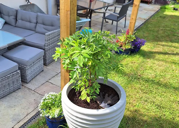 Accommodatie bij particulieren Comfortable Single In