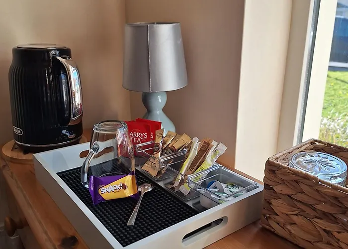 Comfortable Single In